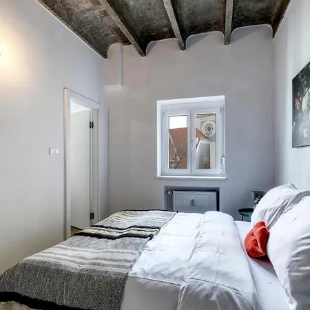 Star Stylish On The Famous Pedestrian Zone Apartament