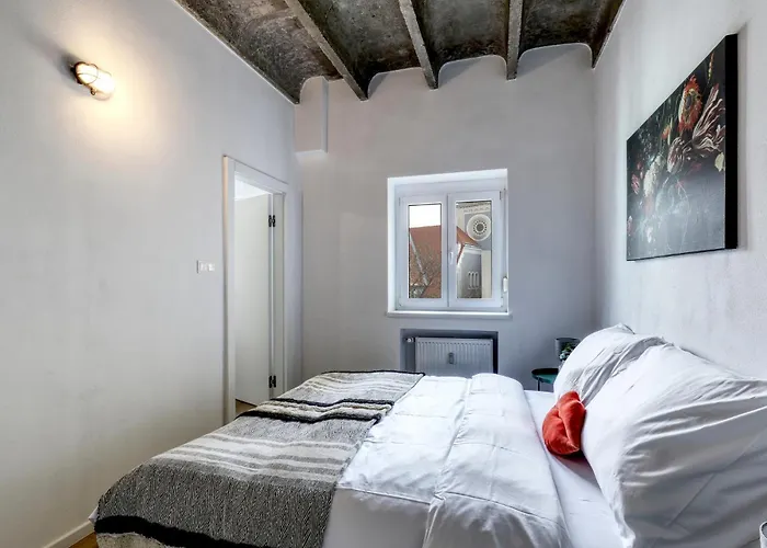 Star Stylish On The Famous Pedestrian Zone Appartement